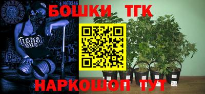 шишки Апшеронск