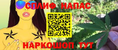 шишки Апшеронск