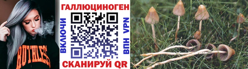 Псилоцибиновые грибы Cubensis  omg ссылка  Рубцовск 