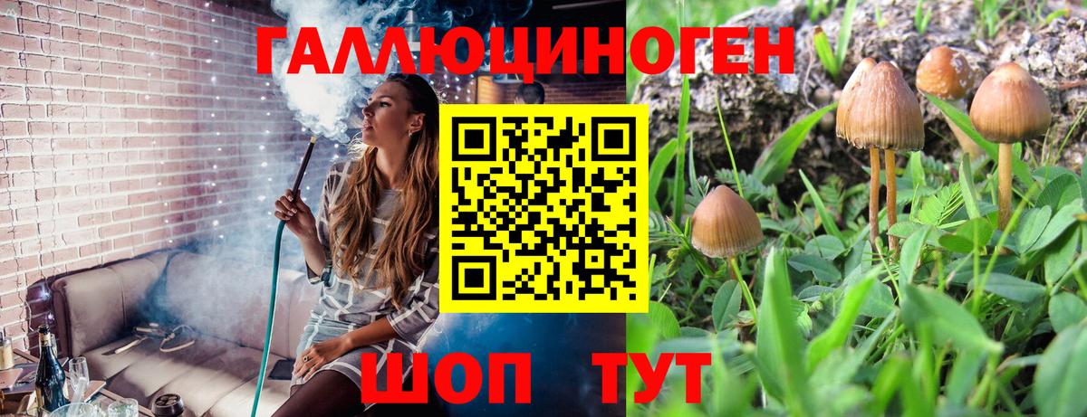 Галлюциногенные грибы Cubensis  Псилоцибиновые грибы мицелий  купить наркотики цена  Вход с VPN  Рубцовск 