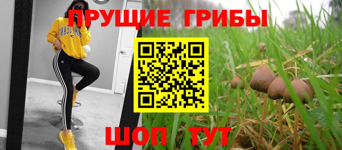 Галлюциногенные грибы мухоморы Рубцовск